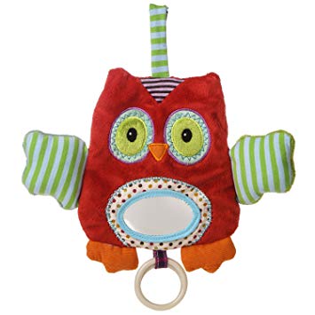 Mary Meyer Natural Life Baby Activity Toy, Whooo Loves You Owl