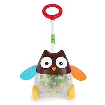 Explore and More Rolling Owl Push Toy