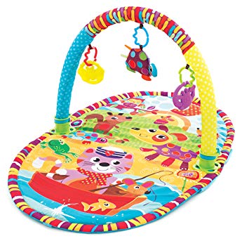 Playgro 0184213 Play in the Park Baby Gym STEM baby play gym
